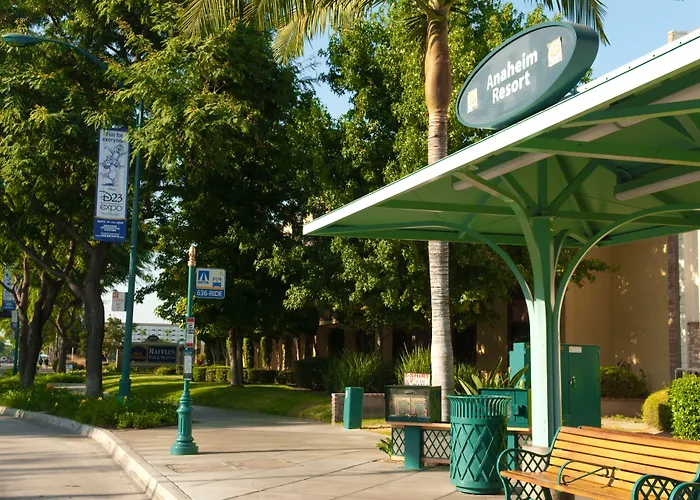 Jacuzzi hotel: Best Western Plus Raffles Inn & Suites