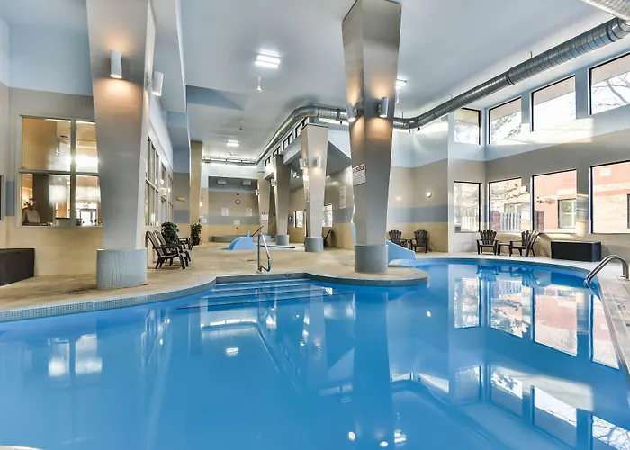 Pets Allowed Hotel Comfort Inn & Suites Ambassador Bridge