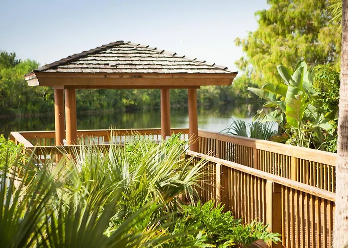 Hotels With Four Stars Marriott Orlando Airport Lakeside
