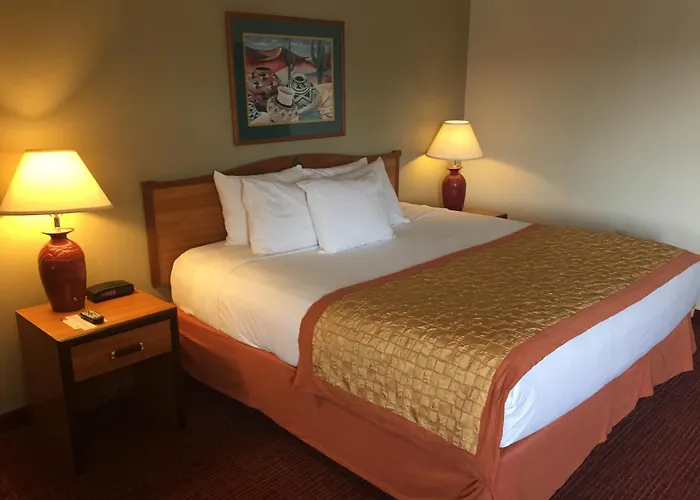 Dog friendly hotels Hawthorn Suites By Wyndham Albuquerque