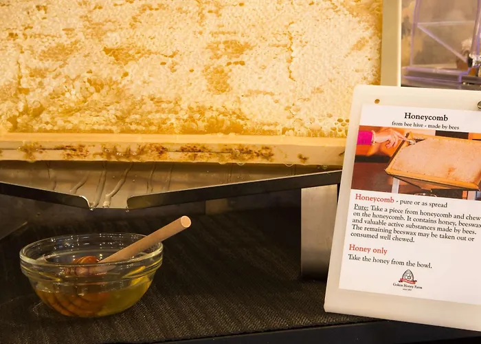 Hotel 4 stelle: Best Western Plus Chc Florence