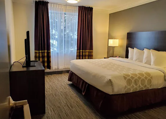 Super 8 By Wyndham Macleod Trail