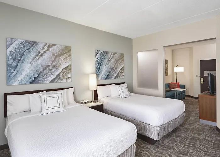 Springhill Suites By Marriott Chicago /Woodfield Mall