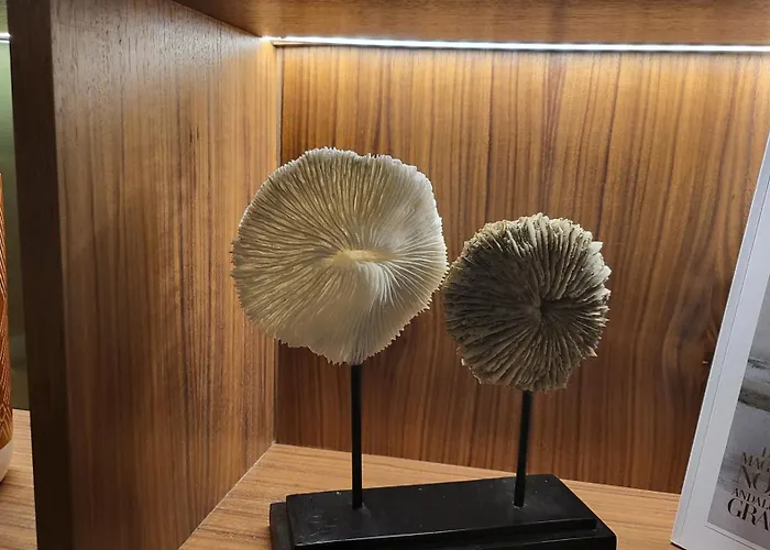 Star Champs-Elysées