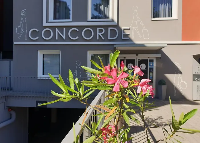 Hotel adatto agli animali: Hotel Concorde Fiera