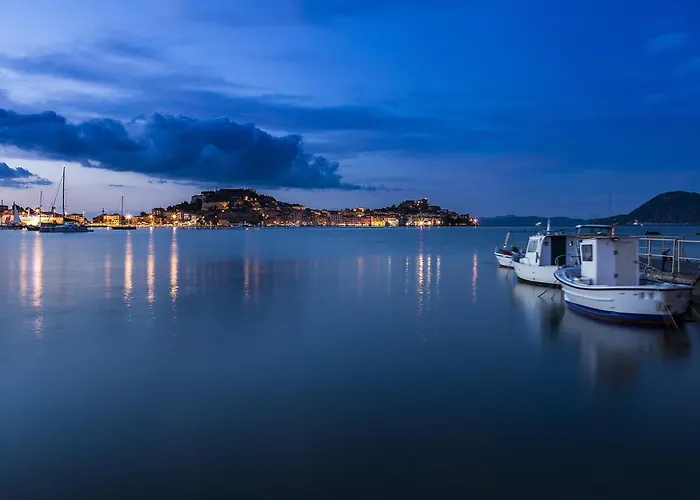 Airone Isola D'Elba