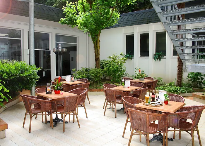 Hôtel accueillant les animaux: Hôtel Notre Dame de la Sarte