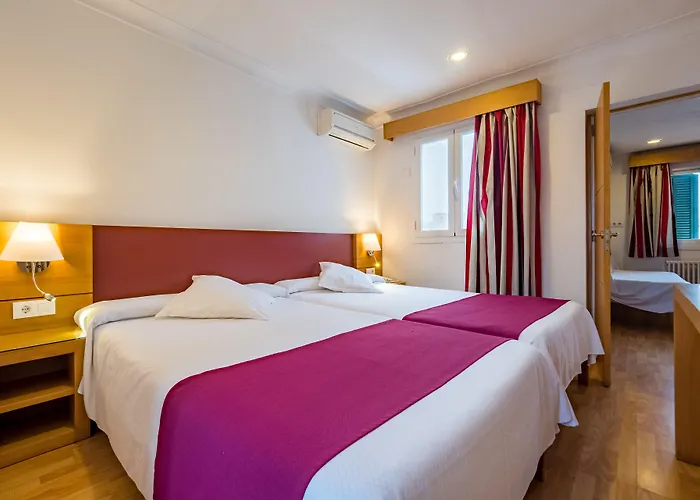 Hotel de 3 estrellas: Hotel Amic Colon