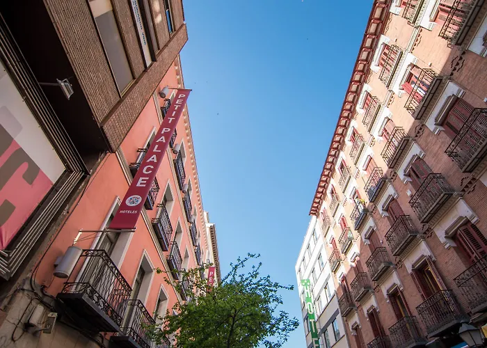 Petit Palace Tres Cruces