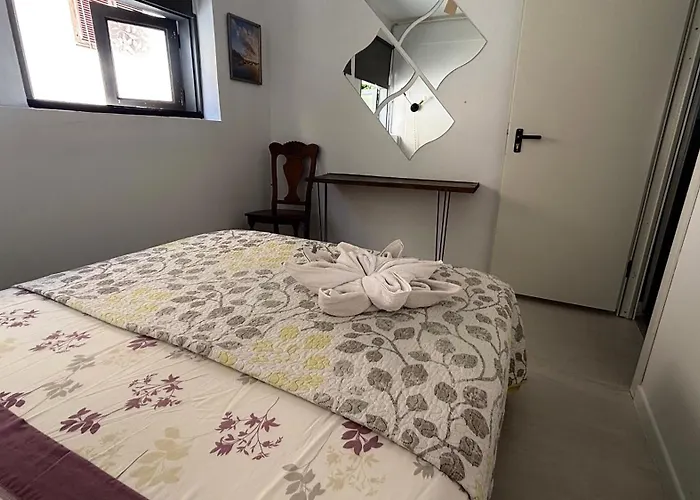 Tenerife Experience Hostel