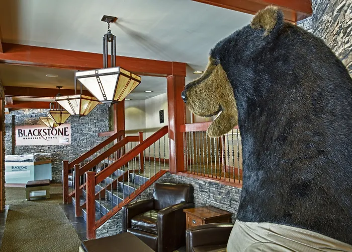 Blackstone Mountain Lodge By Clique Canmore