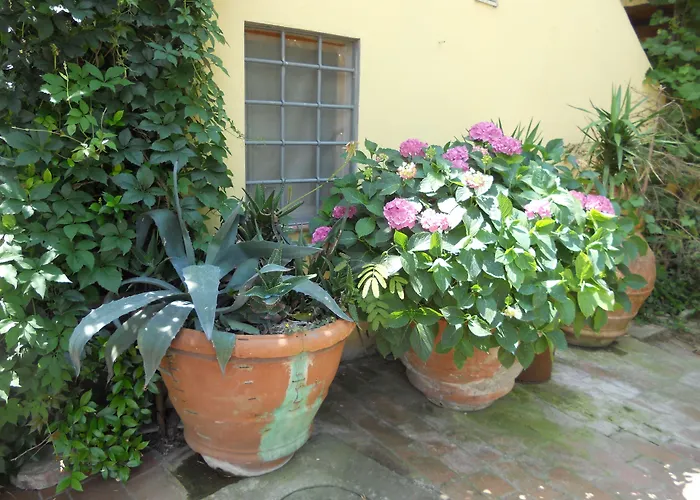 Cabine: Agriturismo Le Macine