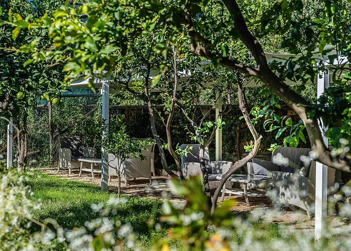Capri (Adults Only)