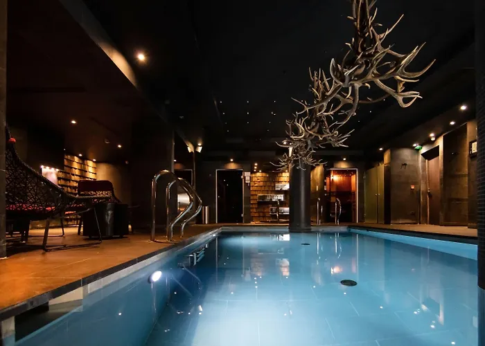 Hôtel accueillant les animaux: Avenue Lodge Hotel & Spa