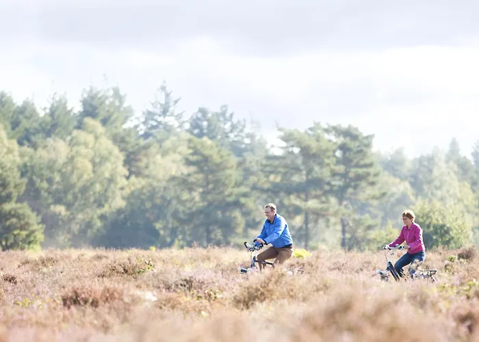 Hotel: Hof van Putten