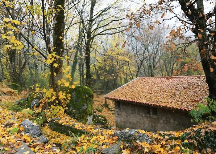 Hotel de 3 estrelas: Inatel Manteigas