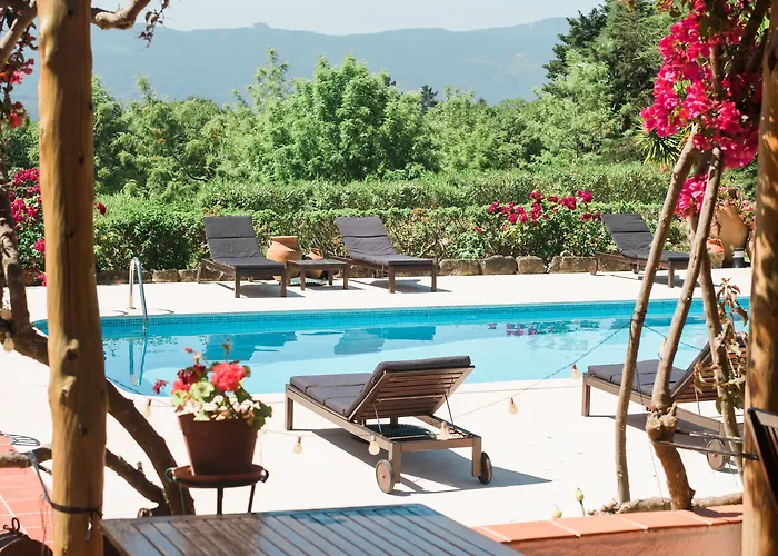 Hotel dichtbij College: Quinta Verde Sintra - Casa De Campo