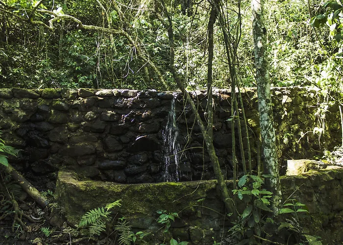 Hotel que admite mascotas: Canzi Cataratas Hotel