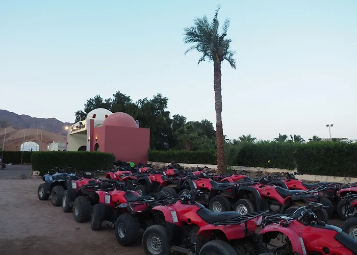 Boutique hotel only: Tropitel Dahab Oasis