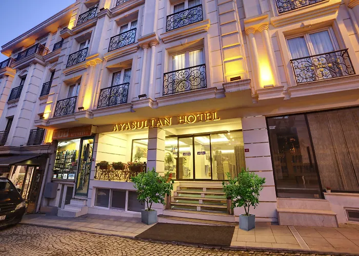 Hôtel accueillant les animaux: Ayasultan Hotel