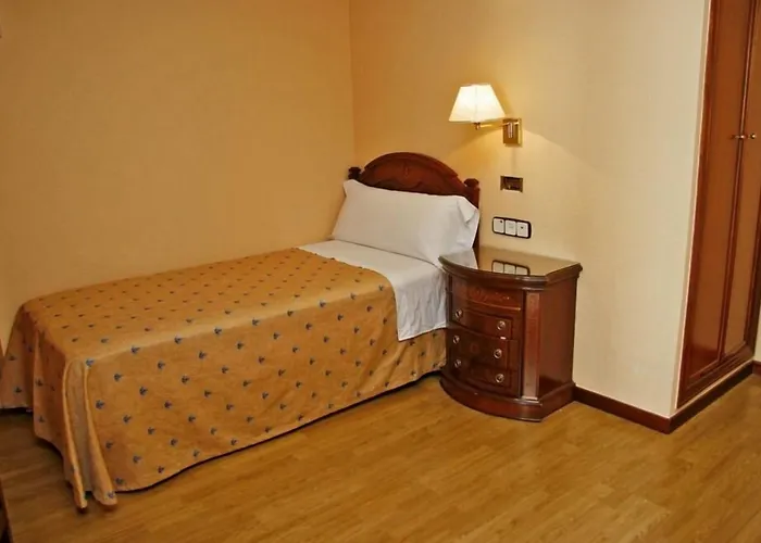 Perros hoteles Victoria I