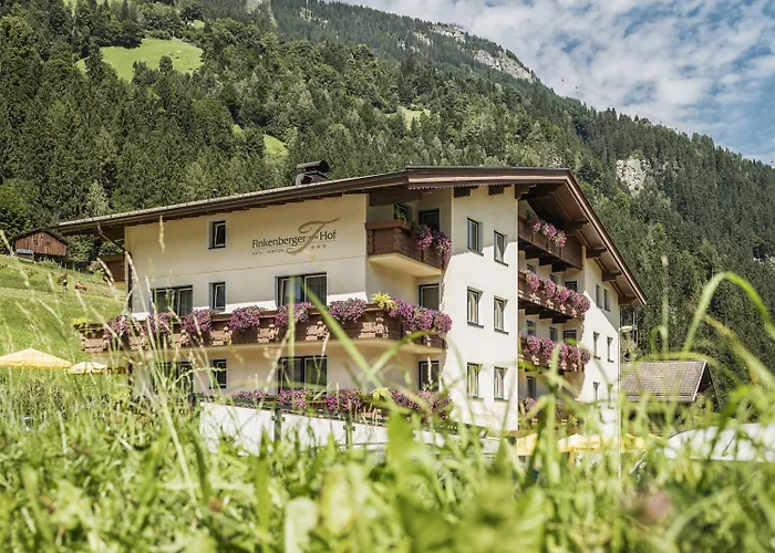 Ping Pong hotel: Hotel Finkenbergerhof