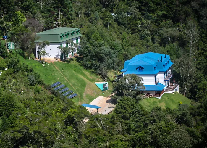 Golden Forest Pousada