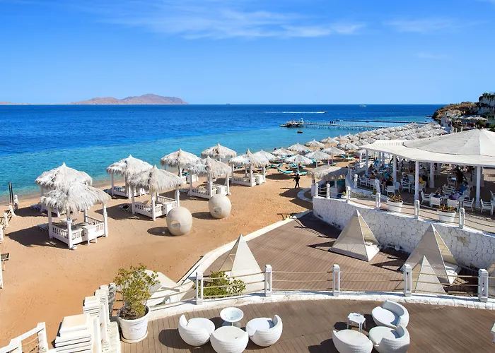 Hôtel accueillant les animaux: Sunrise Arabian Beach Resort