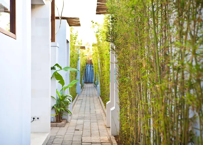 Anema Seminyak