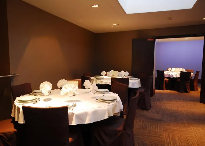 Hôtel accueillant les animaux: Hôtel Stella