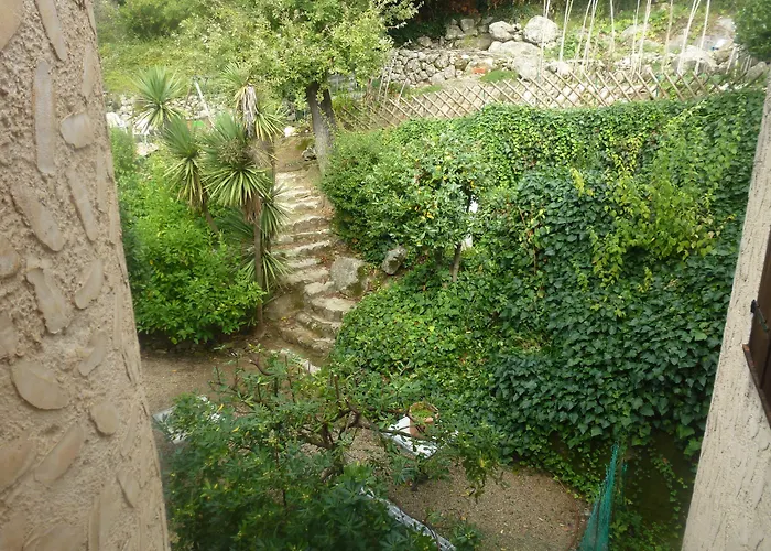 Animaux admis Les Belles Terrasses