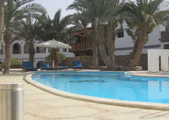 Hotel near College: Dahab Divers