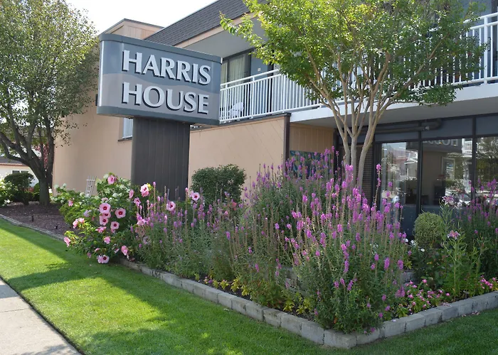 Motels Harris House By The Beach