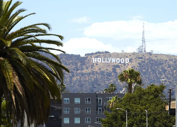Animaux admis Mama Shelter La Hollywood