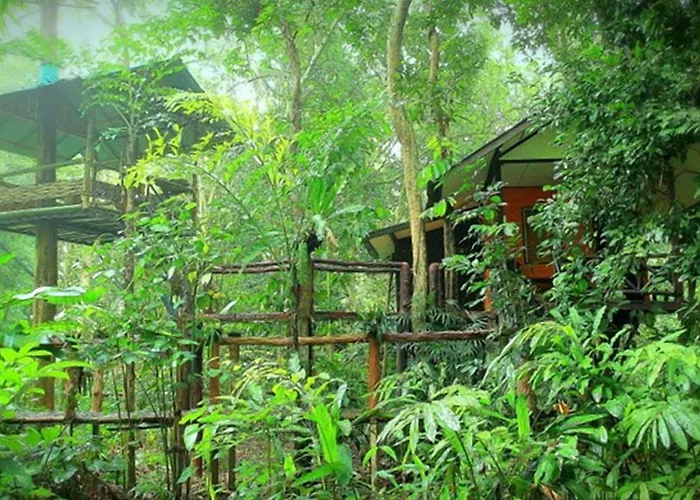 Resort: Khao Sok Tree House Resort