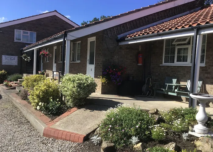 Pet Friendly hotel: The New Inn Motel
