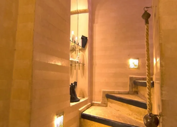 Hôtel accueillant les animaux: Riad Hermès