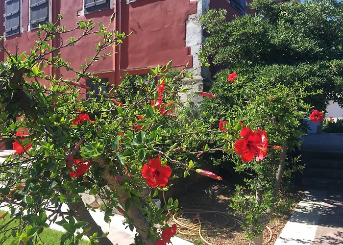 Oasis Guesthouse