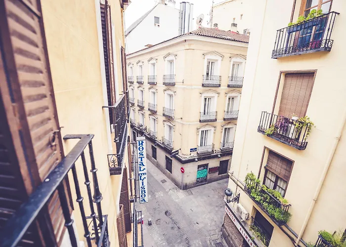 Perros hoteles Hostal Lisboa