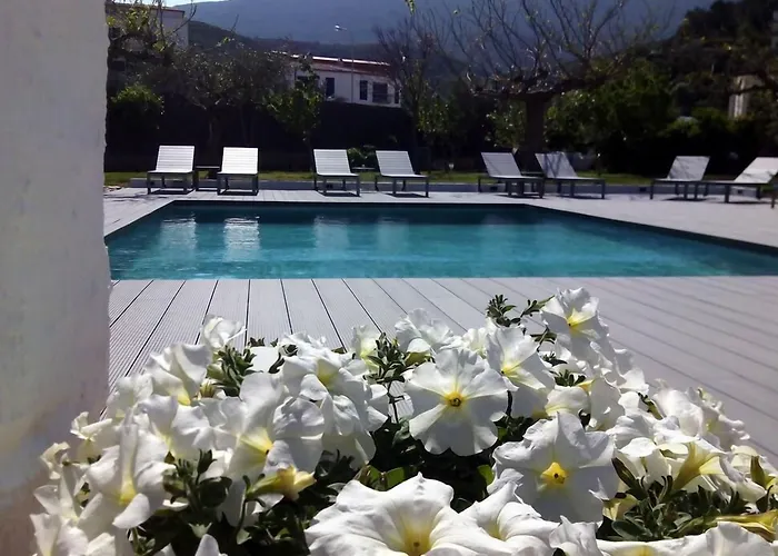 Hôtel accueillant les animaux: Horta D'En Rahola - Adults Only