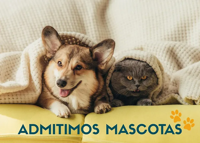 Apartamento: The Lodge At Ribasol