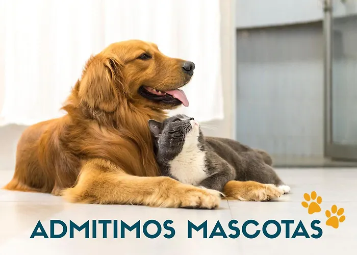 Hotel que admite mascotas: Apartamentos Granada Deluxe 3000