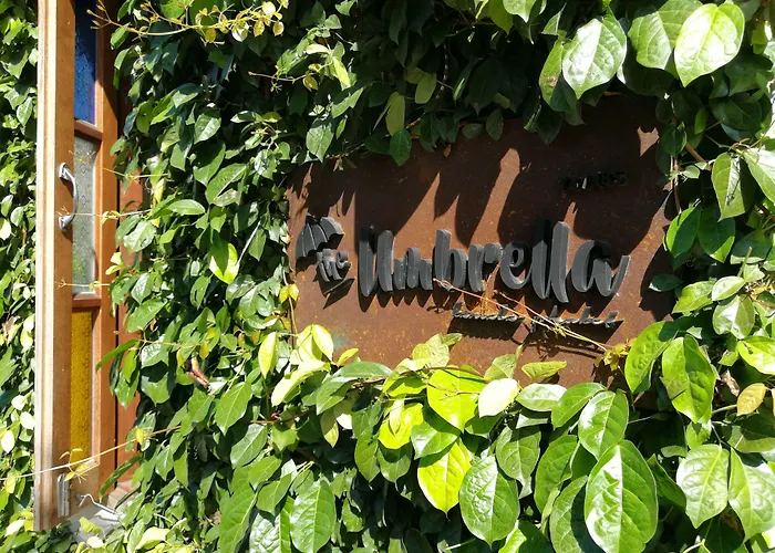 Hotel The Umbrella House Kamala Beach