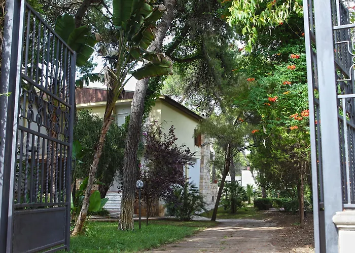  Viale Dei Pini