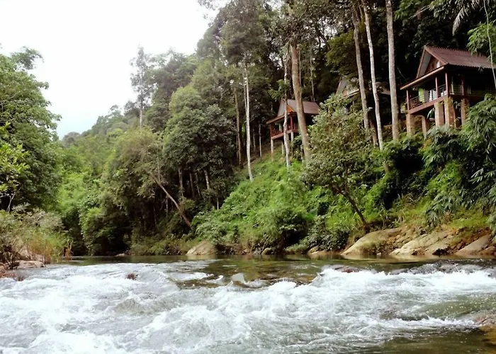 Hotel met uitzicht: Khaosok Rainforest Resort