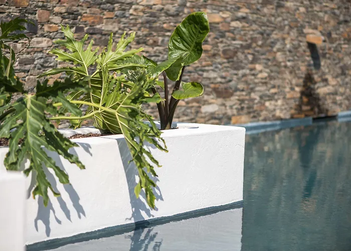 Boutique Villa Gala By Fimedhotels