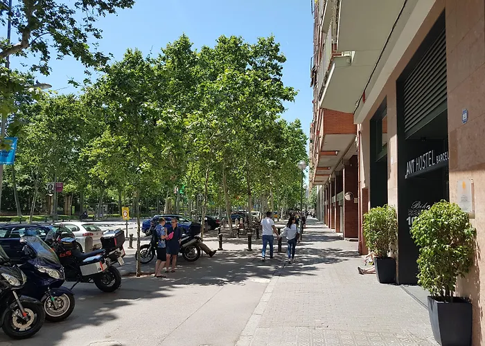 Hotel que aceita animais de estimação: Ant Hostel Barcelona
