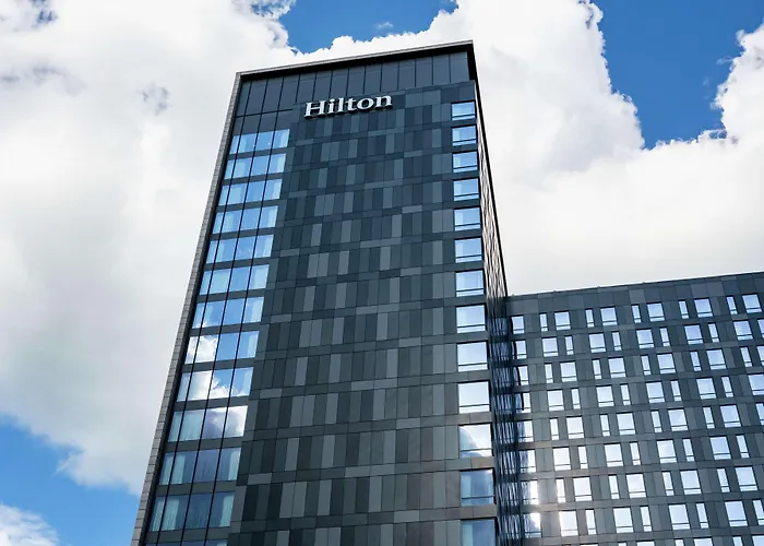 Hilton Mayo Clinic Area