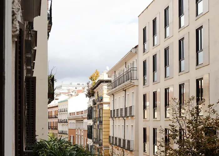  La Zona