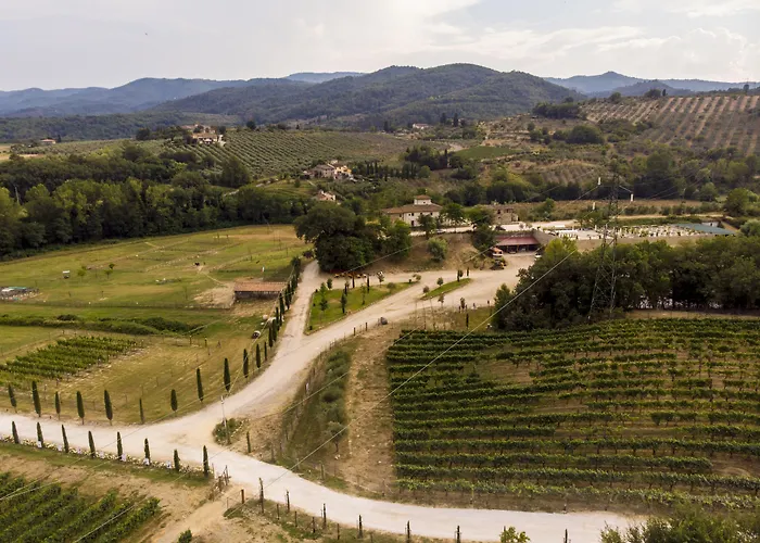 Fattoria La Palagina